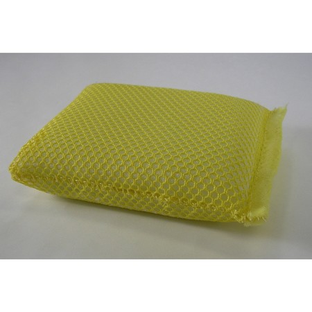 CAR DEALER DEPOT Mesh Bug Sponge - 3" X 5" X 1" 1X